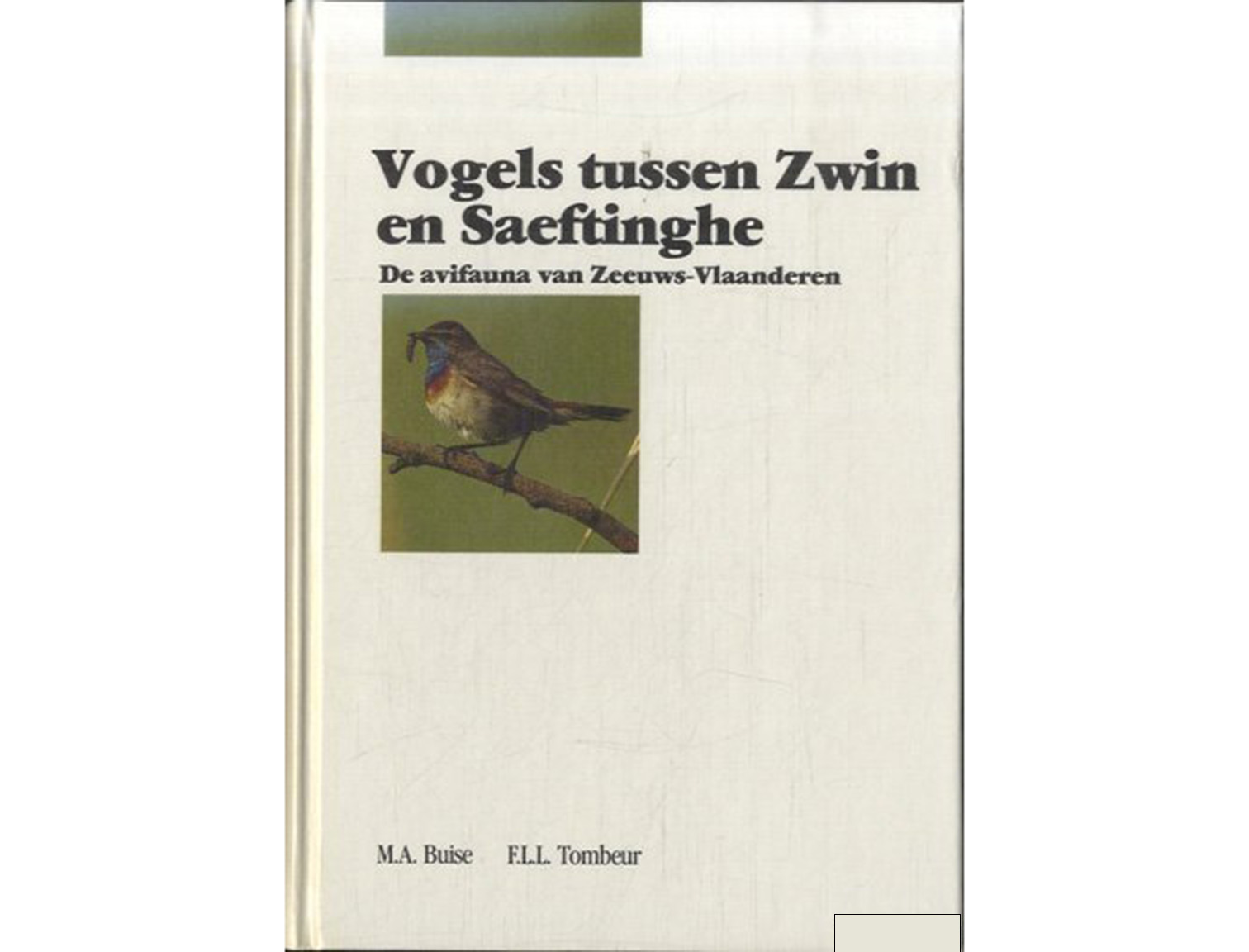 vogels tussen zwin en saeftinghe